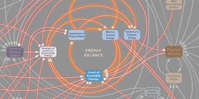 Obesity Diagram - Click to interact