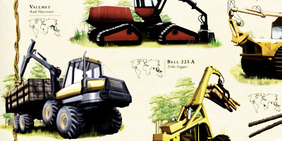 diversity of species in rainforest